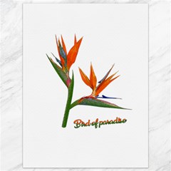 Bird Of Paradise Canvas 36  X 48   by Valentinaart