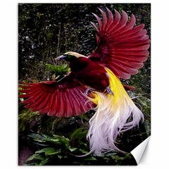 Cendrawasih Beautiful Bird Of Paradise Canvas 16  X 20   by BangZart
