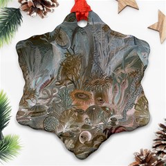 Underwater Ornament (snowflake) by Valentinaart