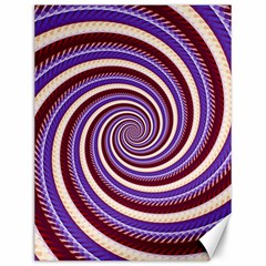 Woven Spiral Canvas 12  X 16   by designworld65