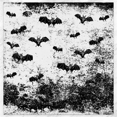 Vintage Halloween Bat Pattern Canvas 12  X 12   by Valentinaart