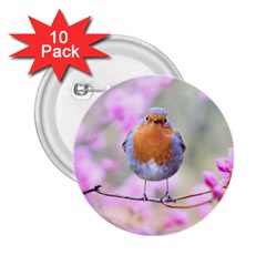 Spring Bird Bird Spring Robin 2 25  Buttons (10 Pack)  by Celenk