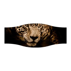 Jaguar Water Stalking Eyes Stretchable Headband by BangZart