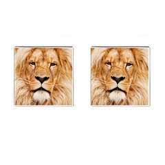 Africa African Animal Cat Close Up Cufflinks (square) by BangZart