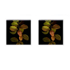 Autumn Leaves Foliage Cufflinks (square) by Celenk
