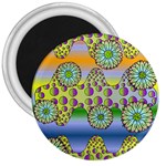Amoeba Flowers 3  Magnets Front