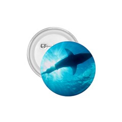 Great White Shark 6 1 75  Buttons by trendistuff