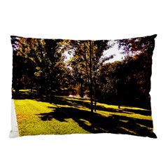 Highland Park 17 Pillow Case (two Sides) by bestdesignintheworld
