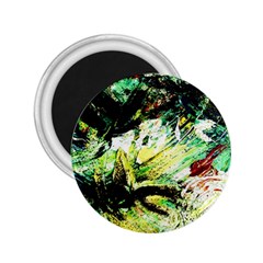 In The Nest And Around 4 2 25  Magnets by bestdesignintheworld