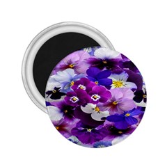 Graphic Background Pansy Easter 2 25  Magnets by Sapixe