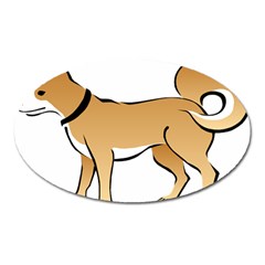 Dog Brown Pet Animal Tail Eskimo Oval Magnet by Nexatart