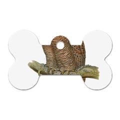 Bird Owl Animal Vintage Isolated Dog Tag Bone (one Side) by Sapixe