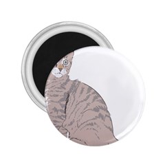 Kitten Cat Drawing Line Art Line 2 25  Magnets by Sapixe
