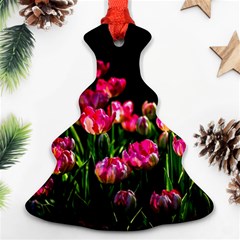 Pink Tulips Dark Background Ornament (christmas Tree)  by FunnyCow