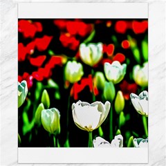 White And Red Sunlit Tulips Canvas 16  X 20   by FunnyCow