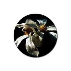 Two White Magnolia Flowers Rubber Round Coaster (4 Pack)  by FunnyCow