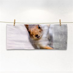 Curious Squirrel Hand Towel by FunnyCow