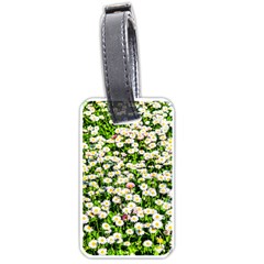 Green Field Of White Daisy Flowers Luggage Tags (one Side)  by FunnyCow
