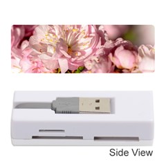 Beautiful Flowering Almond Memory Card Reader (stick) by FunnyCow