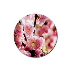 Blooming Almond At Sunset Rubber Round Coaster (4 Pack)  by FunnyCow