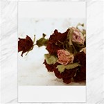 Shabby 1814373 960 720 Canvas 24  x 36  23.35 x34.74  Canvas - 1