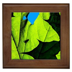 Window Of Opportunity Framed Tiles by FunnyCow