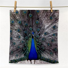 Peacock Bird Animals Pen Plumage Face Towel by Sapixe