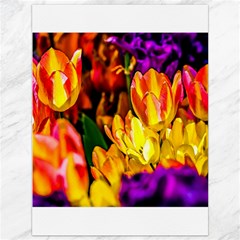 Fancy Tulip Flowers In Spring Canvas 36  X 48  by FunnyCow