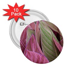 Pink Leaves 2 25  Buttons (10 Pack)  by snowwhitegirl