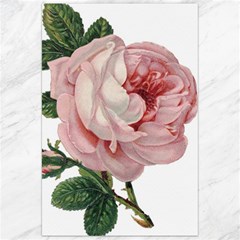 Rose 1078272 1920 Canvas 24  X 36  by vintage2030