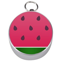 Watermelon Fruit Summer Red Fresh Silver Compasses by Nexatart