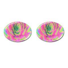 Lime Green And Pink Succulent Sedum Rosette Cufflinks (oval) by myrubiogarden