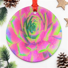 Lime Green And Pink Succulent Sedum Rosette Ornament (round) by myrubiogarden