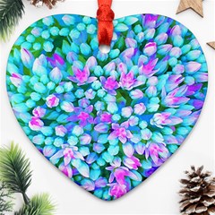 Blue And Hot Pink Succulent Sedum Flowers Detail Ornament (heart) by myrubiogarden