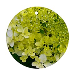 Elegant Chartreuse Green Limelight Hydrangea Macro Round Ornament (two Sides) by myrubiogarden