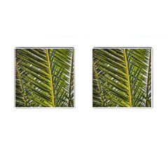 Palm Fronds Palm Palm Leaf Plant Cufflinks (square) by Wegoenart