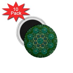 Stars Shining Over The Brightest Star In Lucky Starshine 1 75  Magnets (10 Pack)  by pepitasart