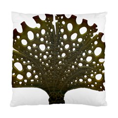 Leaf Tree Standard Cushion Case (two Sides) by Mariart