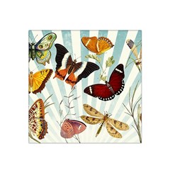 My Butterfly Collection Satin Bandana Scarf by WensdaiAmbrose