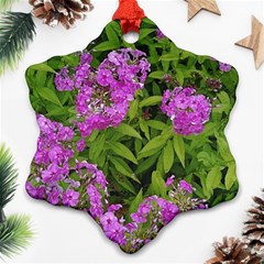 Stratford Garden Phlox Snowflake Ornament (two Sides) by Riverwoman