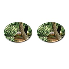 Garden Of The Phoenix Cufflinks (oval) by Riverwoman