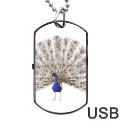 Peacock Colorful Bird Feather Blue Dog Tag Usb Flash (one Side) by Wegoenart