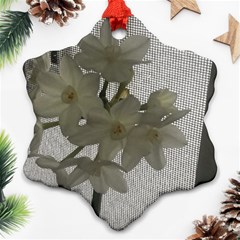 Paperwhite Snowflake Ornament (two Sides) by Riverwoman