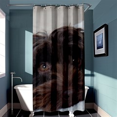 Laying In Dog Bed Shower Curtain 36  X 72  (stall)  by pauchesstore