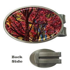 Autumn Colorful Nature Trees Money Clips (oval)  by Sudhe