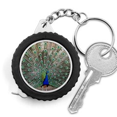 Peacock Bird Animal Feather Measuring Tape by Pakrebo