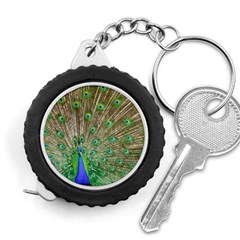 Peacock Color Bird Colorful Measuring Tape by Pakrebo