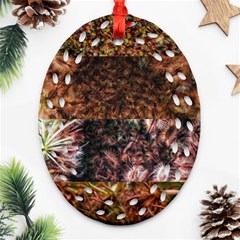 Queen Annes Lace Horizontal Slice Collage Oval Filigree Ornament (two Sides) by okhismakingart