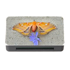 Moth And Chicory Memory Card Reader With Cf by okhismakingart