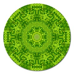 Spring Flower Joy Magnet 5  (round) by pepitasart
